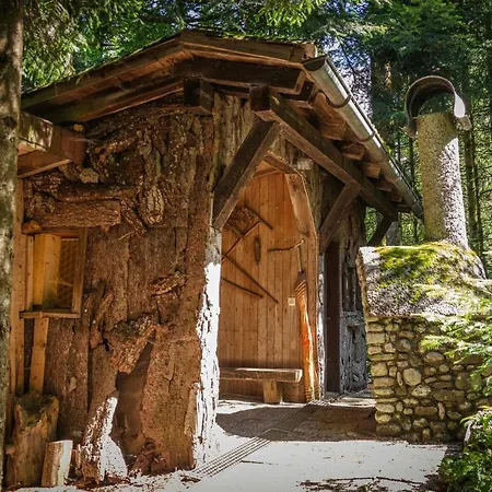 Lejlighed Schetteregg