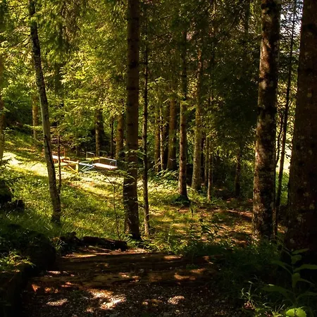 Lejlighed Schetteregg